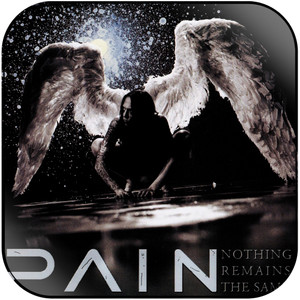 Pain Nothing Remains The Same Album Cover Sticker Album Cover Sticker