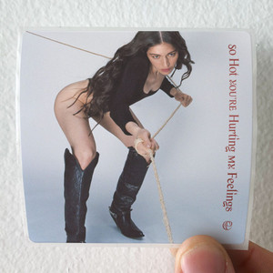 Caroline-Polachek-So-Hot-Youre-Hurting-My-Feelings-Album-Cover-Sticker Caroline-Polachek-So-Hot-Youre-Hurting-My-Feelings-Album-Cover-Sticker