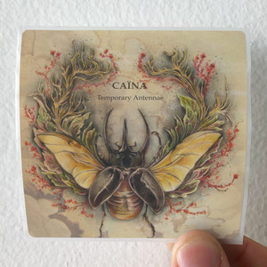 Caina-Temporary-Antennae-Album-Cover-Sticker Caina-Temporary-Antennae-Album-Cover-Sticker