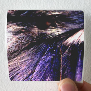 Caina-Temporary-Antennae-1-Album-Cover-Sticker