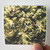 Gas Pop Album Cover Sticker