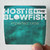 Hootie and The Blowfish Imperfect Circle Album Cover Sticker