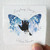 Julian Lennon Everything Changes Album Cover Sticker