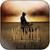 Agraceful The Great I Am Album Cover Sticker Album Cover Sticker