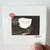 lovelytheband Everything I Could Never Say Album Cover Sticker