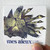 Mes Aieux  Laube Du Printemps Album Cover Sticker