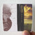 Modern English Mesh Lace Album Cover Sticker