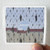 Racoon Liverpool Rain Album Cover Sticker