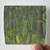Sallow Moth Split With Vmthanaachth Album Cover Sticker