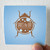 Saves the Day The Bug Sessions Volume 3 Album Cover Sticker