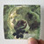 Tanya Tucker Delta Dawn Album Cover Sticker