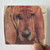 Ty Segall Goodbye Bread Album Cover Sticker