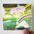 Tai Phong Windows Album Cover Sticker