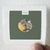 The Stone Roses She Bangs The Drums Album Cover Sticker