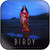 Birdy Birdy-1 Album Cover Sticker Album Cover Sticker
