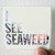 The Drones I See Seaweed Album Cover Sticker