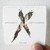 Upchurch Project X Vol 1 Album Cover Sticker