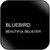 Bluebird Black Presence Album Cover Sticker Album Cover Sticker