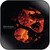 The Ocean Precambrian Album Cover Sticker