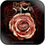 Dark Sarah Violent Roses Album Cover Sticker