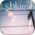 FS Blumm Zweite Meer Album Cover Sticker
