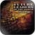 Future Leaders of the World Everyday Album Cover Sticker