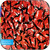 Peter Gabriel Blood Of Eden-2 Album Cover Sticker