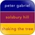 Peter Gabriel Solsbury Hill-3 Album Cover Sticker