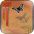 Heart Dog Butterfly-2 Album Cover Sticker