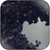 Nebelung Palingenesis Album Cover Sticker