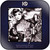 IQ Tales From The Lush Attic-2 Album Cover Sticker