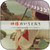 Junji Ishiwatari Albumcover--522A4D01C2Efa Album Cover Sticker