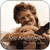 Kris Kristofferson The Austin Sessions Album Cover Sticker
