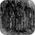 Sunn O Black One Album Cover Sticker