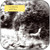 Syd Matters Ghost Days Album Cover Sticker