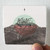 AqME-Pithte-Dominion-Pitaphe-1-Album-Cover-Sticker