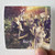 ACT_temp_1-Rebirth-Album-Cover-Sticker