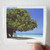 Albert-Hammond-Your-World-And-My-World-1-Album-Cover-Sticker