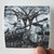Atomwinter-Iron-Flesh-Album-Cover-Sticker