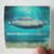Above-and-Beyond-Anjunadeep-01-5-Album-Cover-Sticker Above-and-Beyond-Anjunadeep-01-5-Album-Cover-Sticker