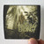 An-Early-Ending-Bloodlines-Album-Cover-Sticker