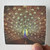 Ani-DiFranco-Which-Side-Are-You-On-Album-Cover-Sticker