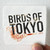 Birds-of-Tokyo-Day-One-Album-Cover-Sticker