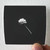 Black-Atlass-Haunted-Paradise-Album-Cover-Sticker