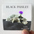 Black-Paisley-Late-Bloomer-Album-Cover-Sticker