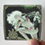 ChthoniC-B-Tik-Album-Cover-Sticker