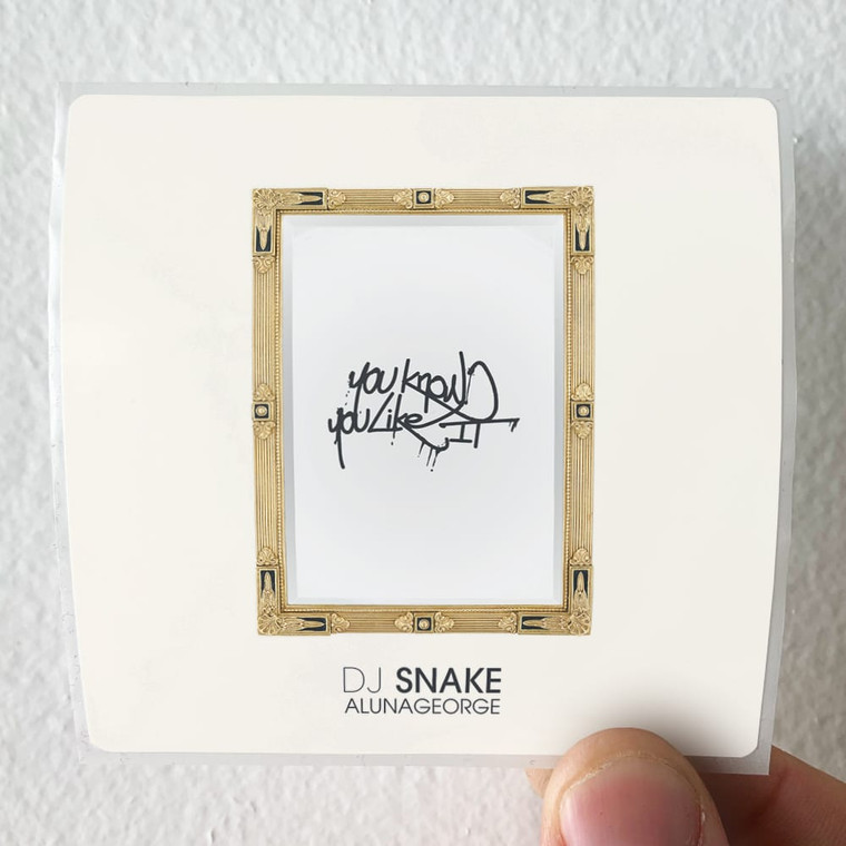 DJ-Snake-You-Know-You-Like-It-Album-Cover-Sticker