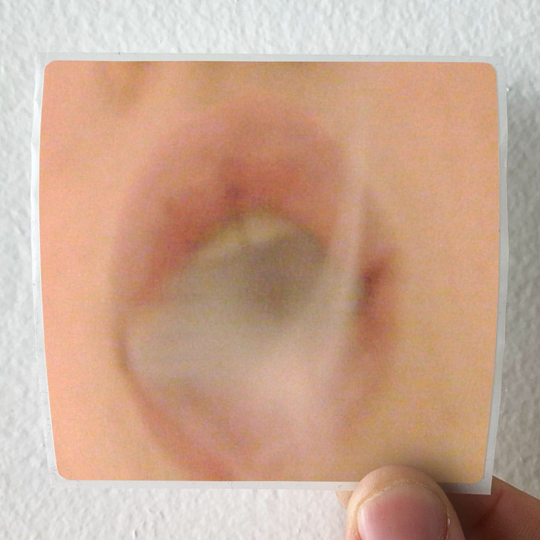 Hype Williams Find Out What Happens When People Stop Being Polite And Star Album Cover Sticker