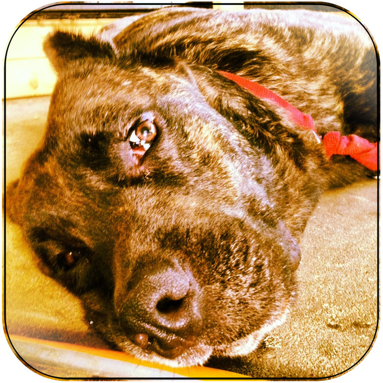 All Them Witches Extra Pleasant Ep Album Cover Sticker Album Cover Sticker