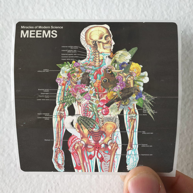 Miracles of Modern Science Meems Album Cover Sticker
